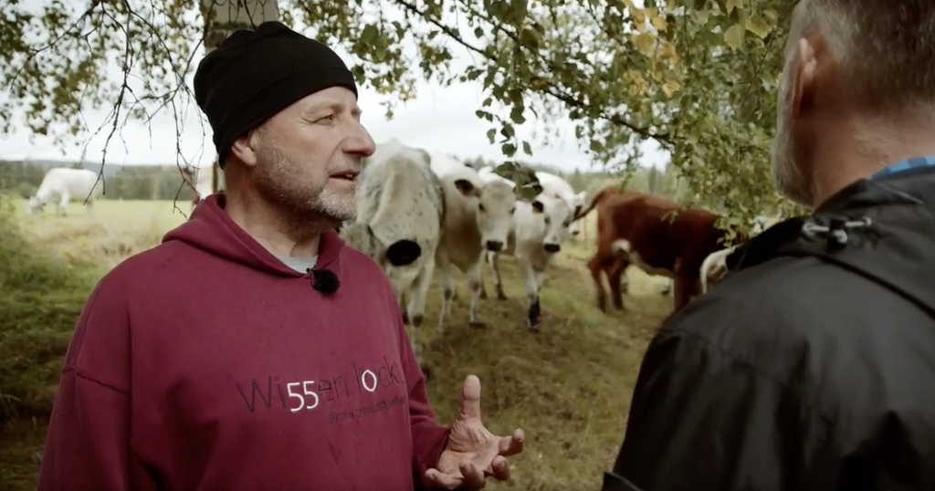 Köttfärslåda 10 kg (förbokning)